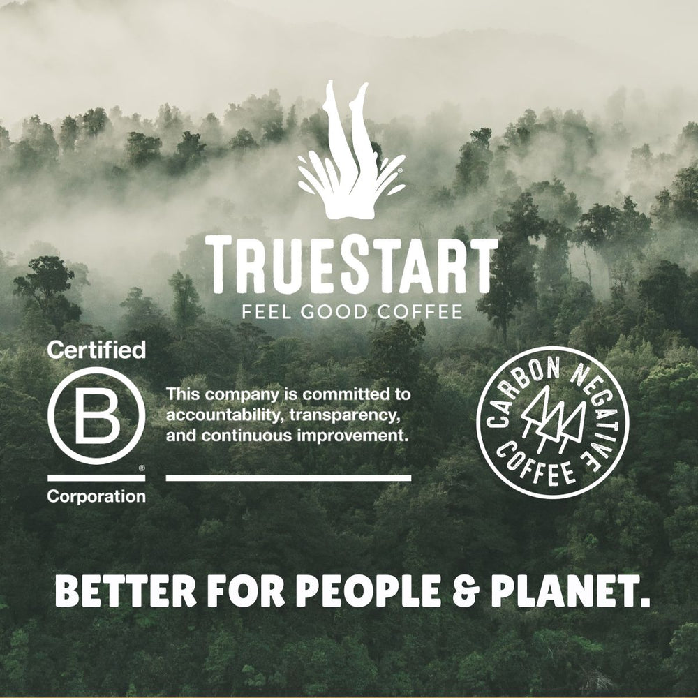 Fresh Coffee Bundle